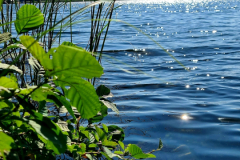 Screenshot_20241007_151042_Gallery