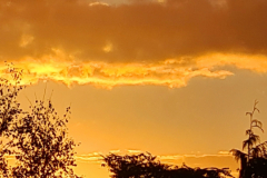 Screenshot_20241007_151205_Gallery