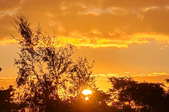 Screenshot_20241007_151208_Gallery