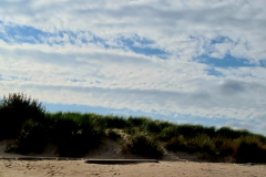 Screenshot_20241007_152015_Gallery