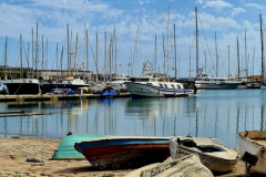 Screenshot_20240819_105937_Gallery