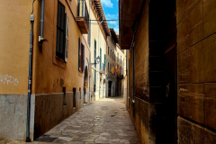 Screenshot_20240819_110119_Gallery