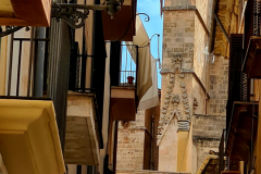 Screenshot_20240819_110135_Gallery