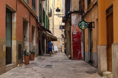 Screenshot_20240819_110156_Gallery