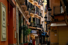 Screenshot_20240819_110214_Gallery