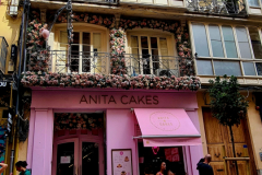 Screenshot_20240819_110228_Gallery