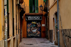 Screenshot_20240819_110310_Gallery