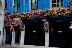 Screenshot_20240819_110325_Gallery