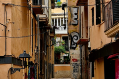 Screenshot_20240819_110532_Gallery