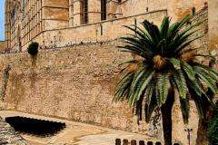 Screenshot_20240819_110604_Gallery