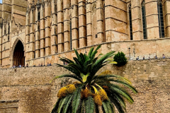 Screenshot_20240819_110617_Gallery