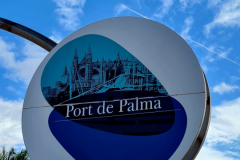 Screenshot_20240819_110734_Gallery