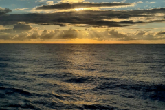 Screenshot_20240819_110908_Gallery