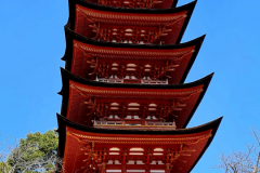 Screenshot_20240319_100344_Gallery