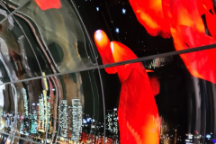 Screenshot_20240406_070519_Gallery