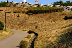 Screenshot_20240406_070652_Gallery