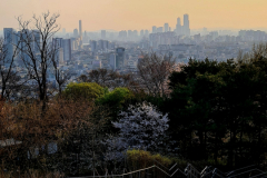 Screenshot_20240406_070727_Gallery