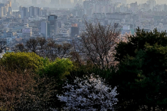 Screenshot_20240406_070732_Gallery