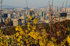 Screenshot_20240406_070750_Gallery