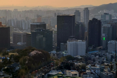 Screenshot_20240406_070819_Gallery