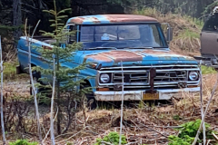 Screenshot_20240603_130506_Gallery