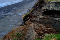 Screenshot_20240603_130531_Gallery