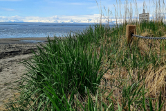 Screenshot_20240603_130616_Gallery