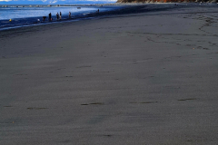 Screenshot_20240603_130635_Gallery