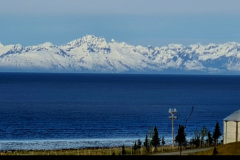 Screenshot_20240603_130914_Gallery