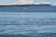 Screenshot_20240603_130959_Gallery