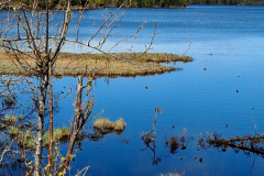 Screenshot_20240603_131025_Gallery