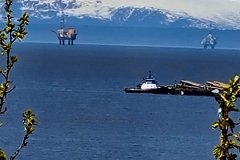 Screenshot_20240603_131037_Gallery