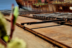 Screenshot_20240603_131056_Gallery