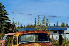 Screenshot_20240603_131147_Gallery