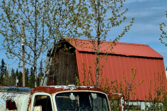 Screenshot_20240603_131150_Gallery