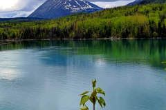 Screenshot_20240603_131214_Gallery