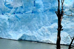 Screenshot_20250102_133438_Gallery