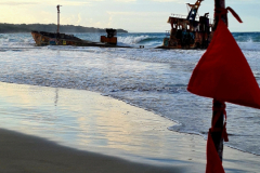 Screenshot_20241221_164505_Gallery