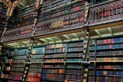 Screenshot_20241109_062856_Gallery