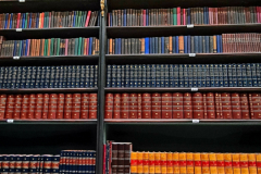 Screenshot_20241109_062910_Gallery