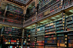 Screenshot_20241109_062927_Gallery