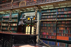 Screenshot_20241109_062951_Gallery