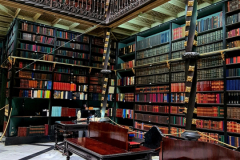 Screenshot_20241109_063157_Gallery