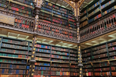 Screenshot_20241109_063219_Gallery