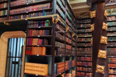 Screenshot_20241109_063235_Gallery