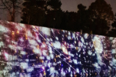 Screenshot_20240316_085146_Gallery