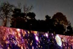 Screenshot_20240316_085150_Gallery