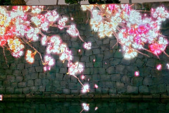 Screenshot_20240316_085203_Gallery
