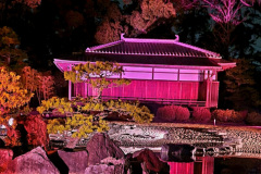 Screenshot_20240316_085302_Gallery