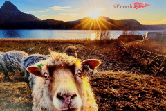 Screenshot_20240708_100015_Gallery